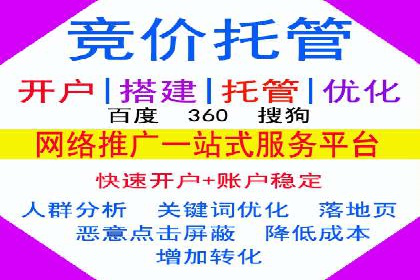SEM网络推广案例：精准营销助力品牌成长